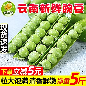 云南生鲜蔬菜新鲜季豌豆带壳甜豌豆粒[6元优惠券]-寻折猪