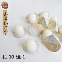 35)Goats milk pudding jelly Squirrel hamster Golden silk bear flower branch honey bag glider snack young mouse supplementary food