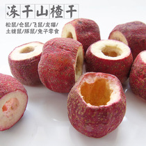 Acorn House) Freeze-dried hawthorn squirrel flying mouse hamster Chinchilla Groundhog Appetizing snack 10g