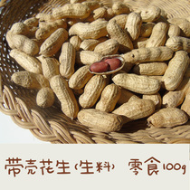 Acorn House) Shelled peanut squirrel food snacks 100g Golden flower Snow Devil red-bellied Huangshan