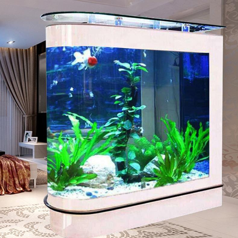 去购买 五,水族鱼缸寓教于乐,开发智力  家庭养殖生态鱼缸里的热带鱼