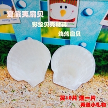 Extra-large Hawaiian White Scallop Hand Painting Material Barbecue Scallop Home Applique Wall Decoration Fish Tank Water Family