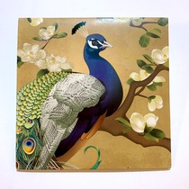 Solid card greeting card New York City Peacock kittens patina