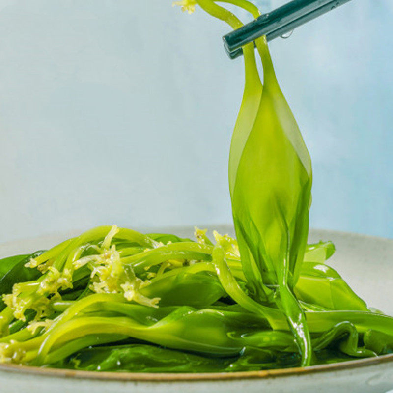 霞浦海带苗1斤嫩新鲜盐渍非干货特级裙带菜小海带芽嫩苗火锅食材