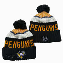 Foreign trade last order export knitted hat mens ice hockey hat plus velvet outdoor cold-proof woolen cotton hat couple hat black