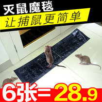 Strong sticky mouse board dipped and caught mouse sticky board paste glue mouse artifact household a nest of mouse magic carpet thickened