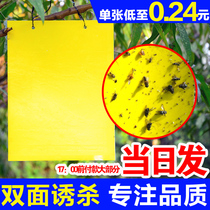 Double-sided yellow armyworm board Yellow board Insect-inducing board Greenhouse insect-proof board Orchard small flying insect blue board Sticky insect board Insect-stained board