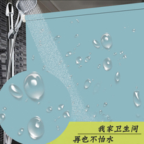 Roll blinds non-perforated shading living room office restaurant hotel lift waterproof oil-proof hand pull blinds