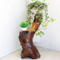 German red beech log root carving frame Whole root balcony multi-layer bonsai frame Living room wood carving Z033