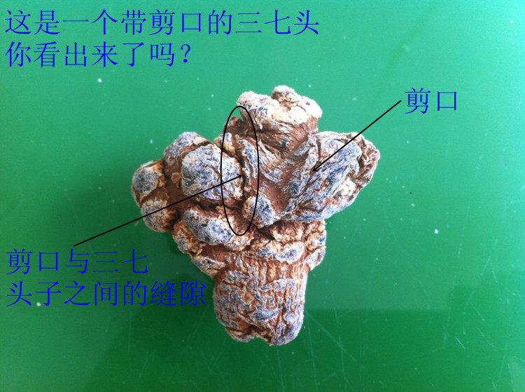 什么是剪口,我们平时购买到的三七带剪口吗? - 天猫精选