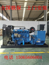 Weichai Yuchai Shangchai high-end 30 50 100KW kilowatt diesel generator set Farm special generator