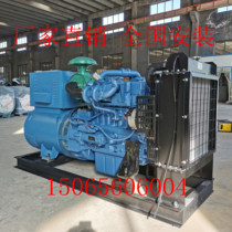 Weichai Yuchai shares 50 100 200 300KW kilowatt chicken farm site crusher special generator set