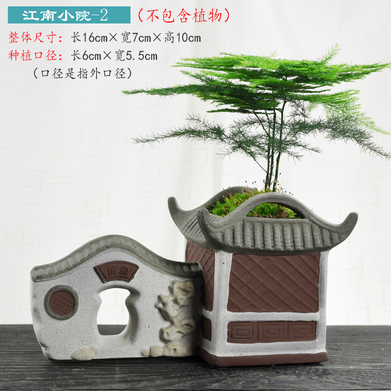 Small house flowerpot ceramic creative move courtyard asparagus rich tree China money plant contracted wind flower pot the plants