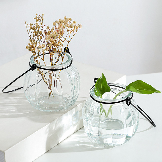 Creative hanging transparent glass vase small hanging bottle hydroponic flower indoor gardening home decoration bottle plant decoration Creative hanging transparent glass vase small hanging bottle hydroponic flower indoor gardening home decoration bottle plant decoration