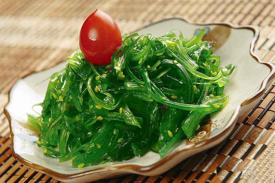 富德生命人寿海草舞 海草舞保险公司