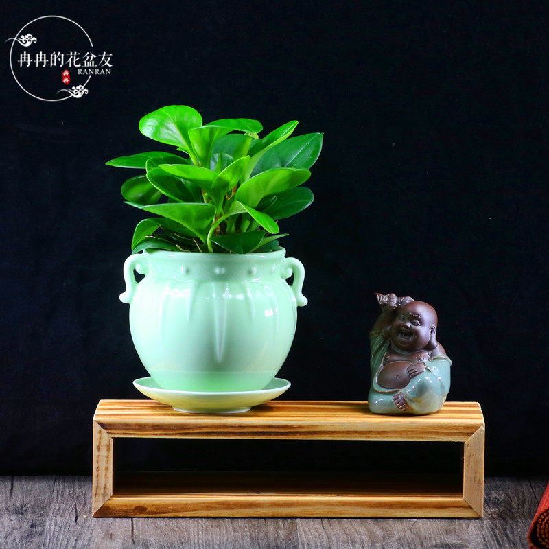 青叶碧玉桌面盆栽豆瓣绿净化空气办公室内吸甲醛绿植四季常青包邮_7折