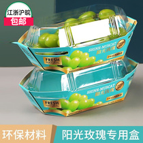 Grape Packaging Box Sunny King Tiko Packing Box Disposable Transparent Gift Upscale Cream Grape Gift Box Custom
