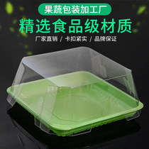 3D Solid Fold Case Square Plastic Transparent Packaging Box Disposable Fruit Pan Silver Earthen Sushi Box Cake Box