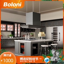 Boloni custom kitchen overall cabinet Modern embedded cabinet storage custom prepaid Provence