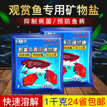 Tale mineral fine salt water water quality nitrification disinfection salt ornamental fish special sterilization salt aquarium fish tank with sea salt fish farming