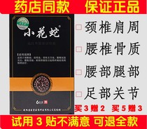 Floret snake active plaster