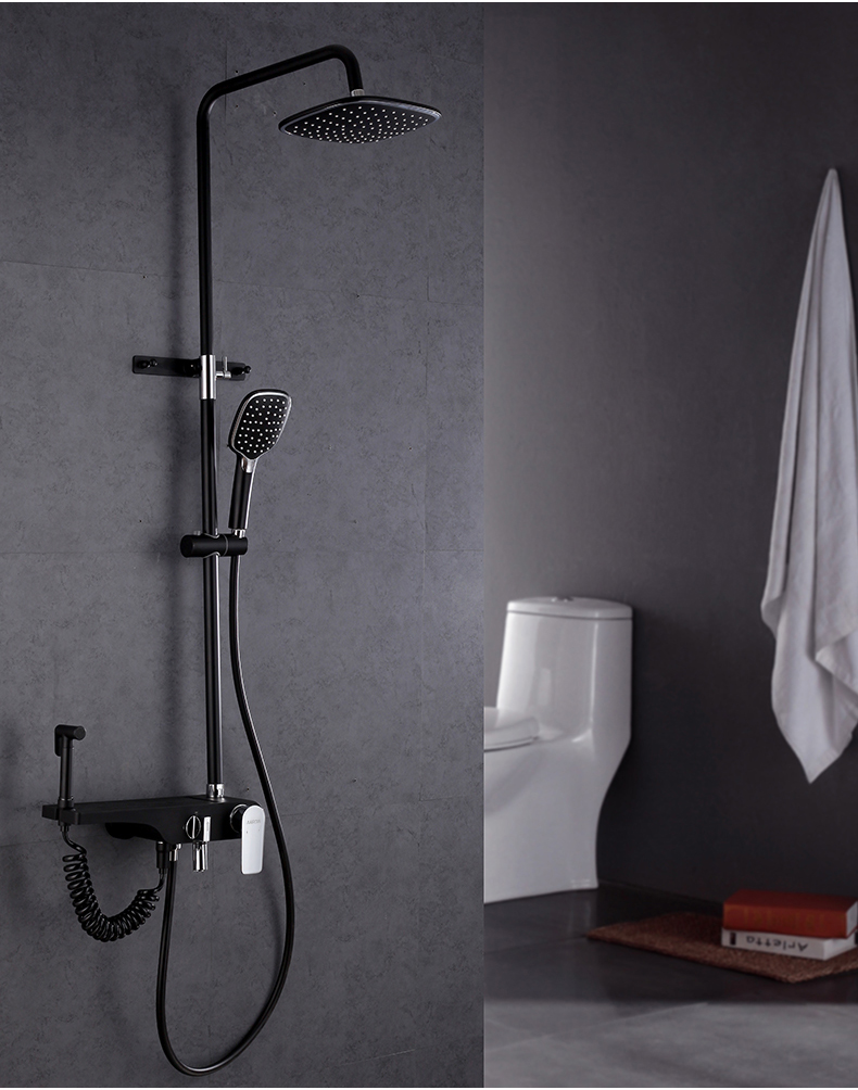 箭牌卫浴 淋浴花洒套装 黑色花洒套装全铜龙头淋浴器家用淋雨喷头