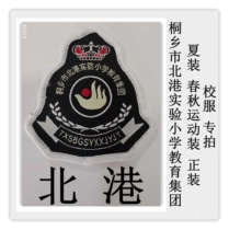 Tongxiang City Begang Experimental Primary School Education Group Summer Spring and Autumn Sportswear Formwork uniform