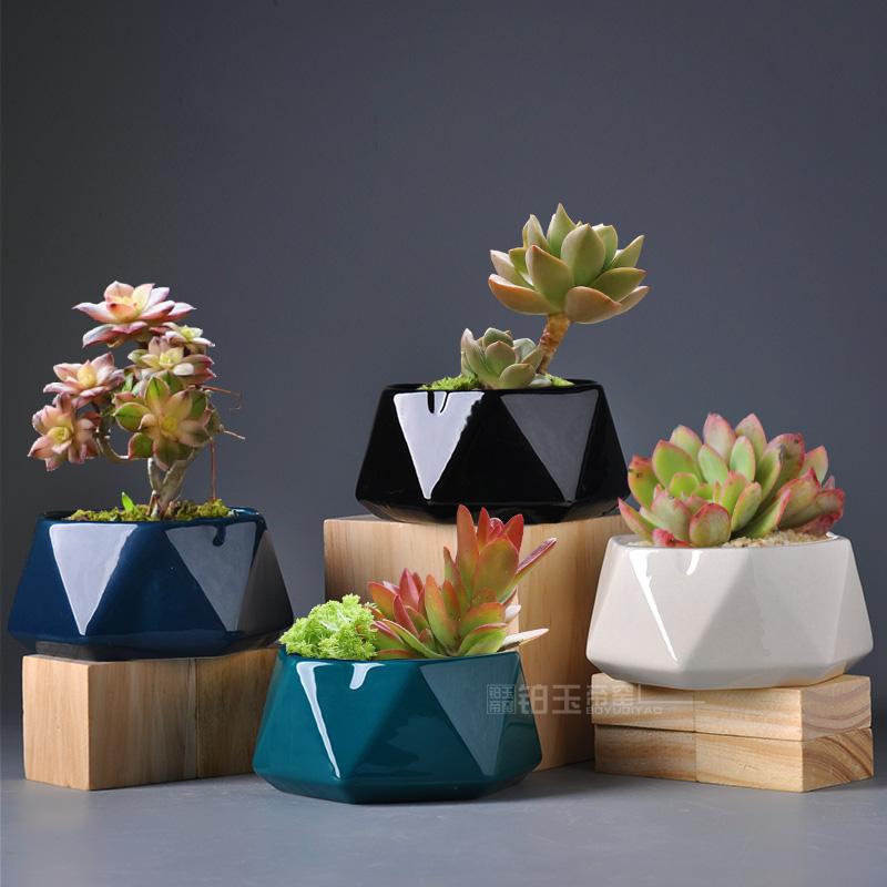 Platinum jade fleshy flowerpot geometric polygon small flower POTS of creative move Nordic ins flesh pottery pot the plants