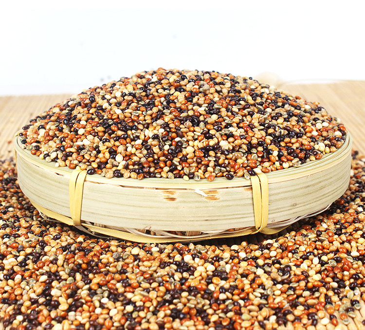 五色黍子文鸟鸟粮鸟食粮食带壳谷子红黍子中小型牡丹虎皮鹦鹉饲料