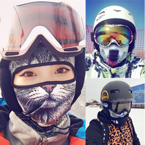 Winter ski cold mask female full face wind shield face protection riding equipment warm ear mask animal headgear male