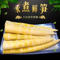 Jiangxi specialty small bamboo shoots fresh spring bamboo shoots hot pot bamboo shoots dried bamboo shoots dried dry goods farmhouse water tender bamboo shoots