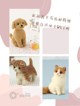 Hamanaka wool felt poke diy material bag cartoon puppy doll H441-421 imported