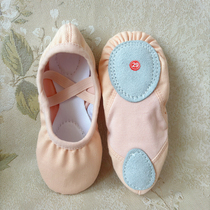 New dance shoes ballet soft soles cat claws no laces flesh pink children and adults exclusive for practice and examination schools
