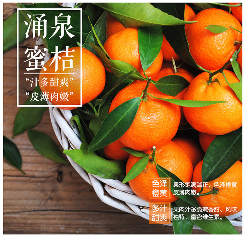 正宗临海涌泉蜜桔新鲜水果5斤装