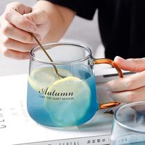 Transparent cup glass with handle handle ladys good-looking office Cup in summer high sense creative fashion