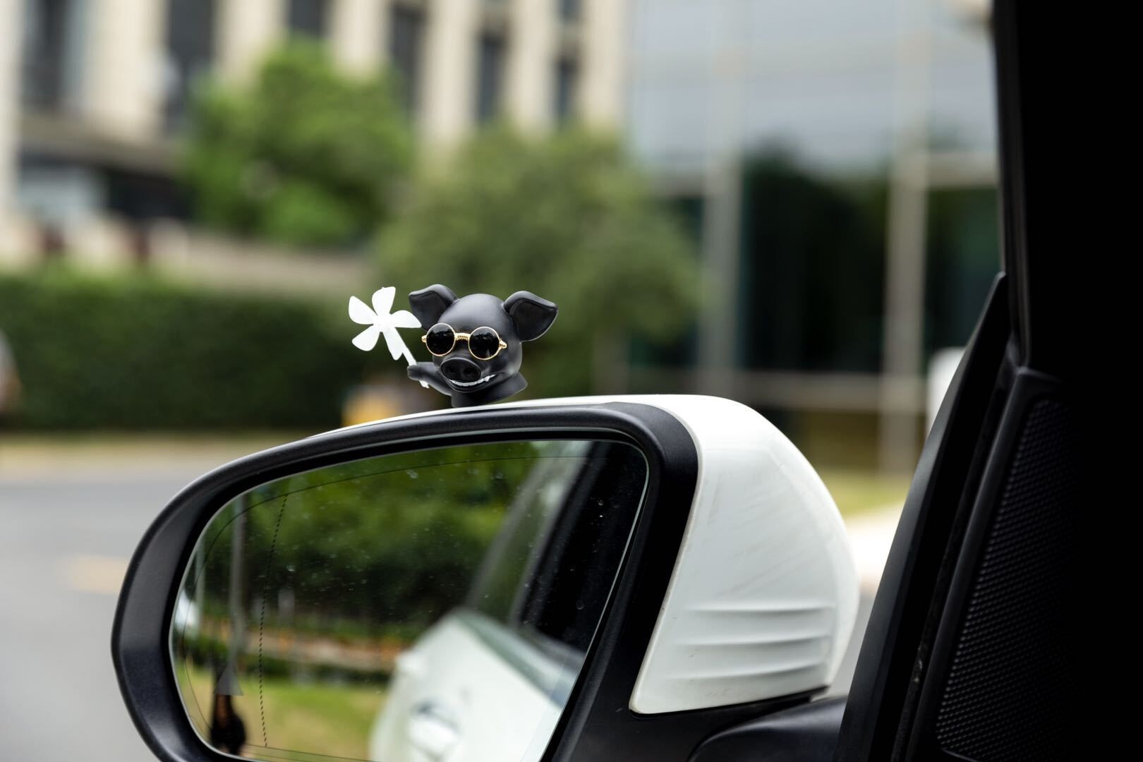 抖音破风猪闪光追风猪小风车猪汽车自行电动车装饰车载摆件