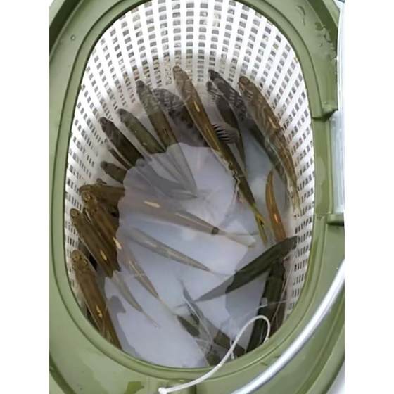 산소 배럴 통합 몰딩 산소화 펌프 상자 라이브 미끼 박스 라이브 낚시 양동이 야생 생선 낚시 양동이를위한 특별 산소 배럴 통합 몰딩 산소화 펌프 상자 라이브 미끼 박스 라이브 낚시 양동이 야생 생선 낚시 양동이를위한 특별