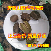 Mardou Suzuki wild Chinese herbal medicine Horse pocket Suzuki freshly made with rice seedlings with rice marxie fruit dry muck with zero serpent