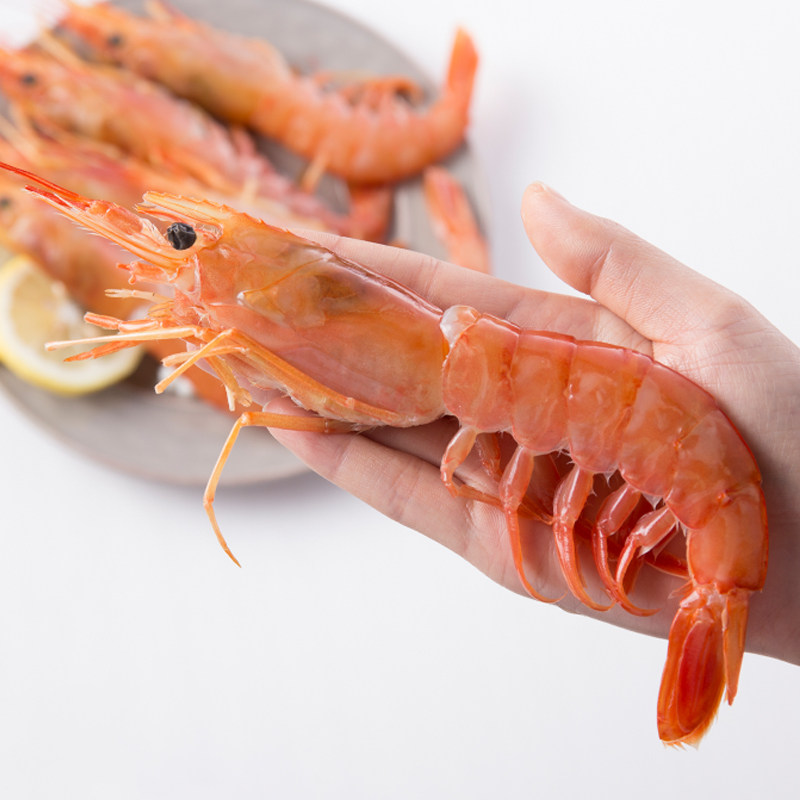 阿根廷新鲜大红虾4斤