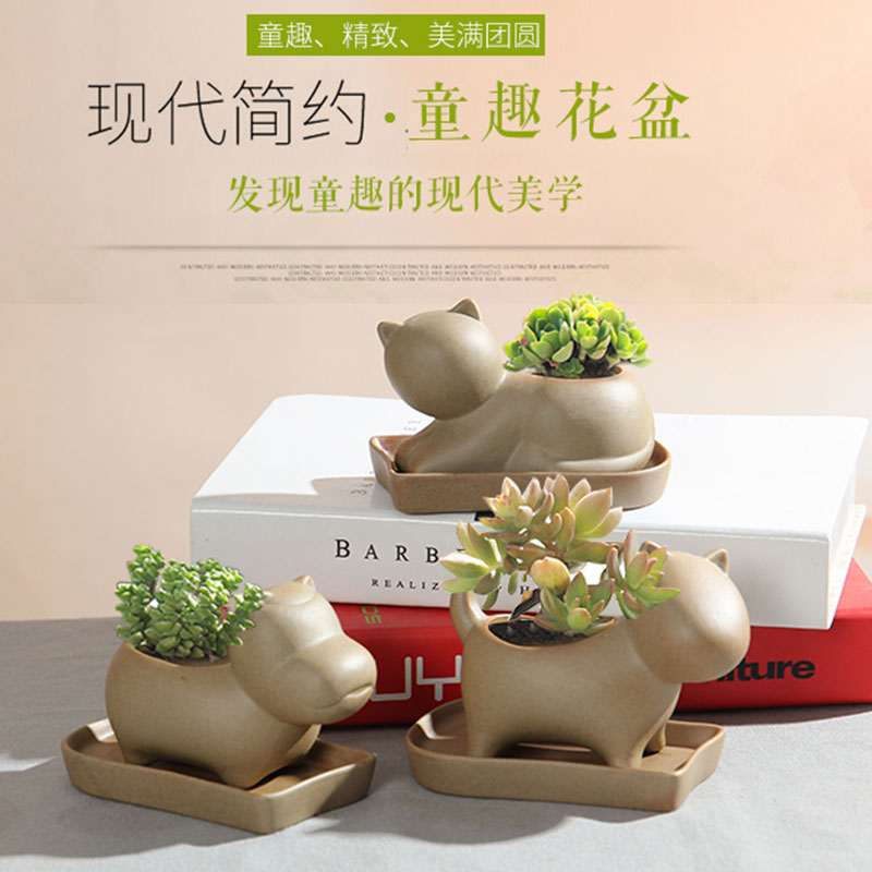 TaoXin language creative contracted express animals "bringing tray meaty plant ceramic coarse pottery flowerpot move old basin