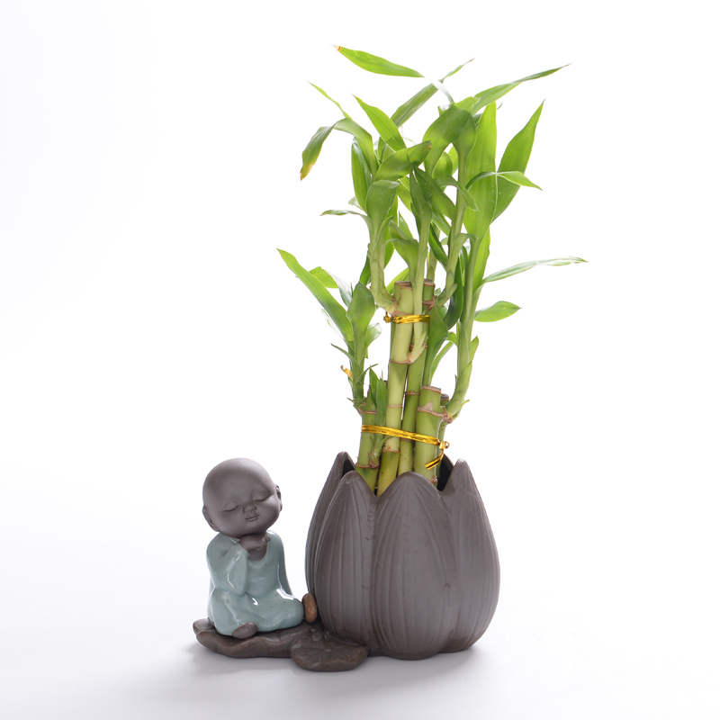 Violet arenaceous water raise small zen monk hydroponic container other copper wire grass desktop furnishing articles, fleshy white ceramic POTS