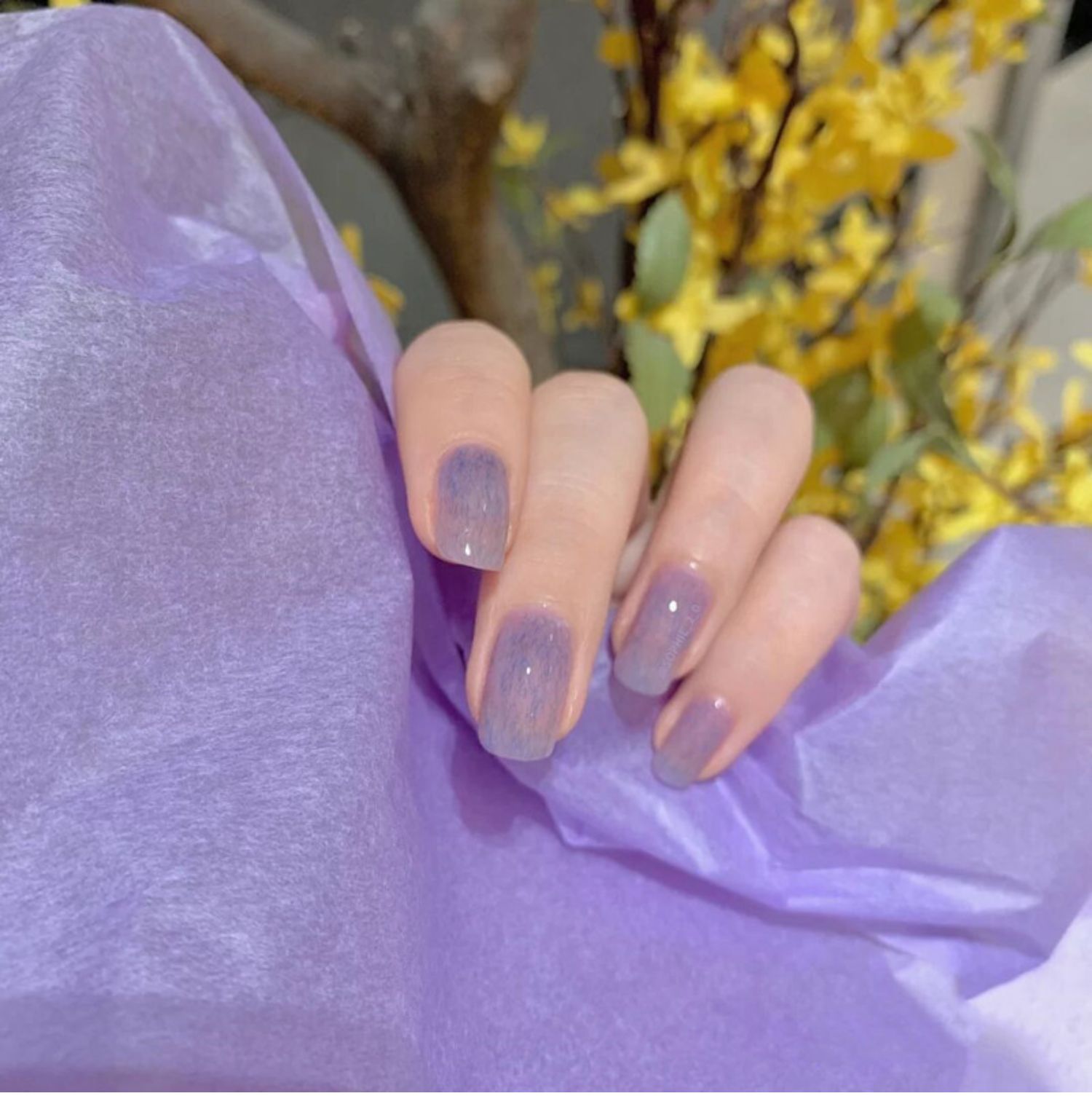 果冻紫皮草指甲油胶2020年新款丝绒薰衣紫色皮草光疗胶美甲店专用