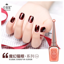 Zhuo Weini magic cats eye glue colorful nail oil glue 2021 new color special popular small set series