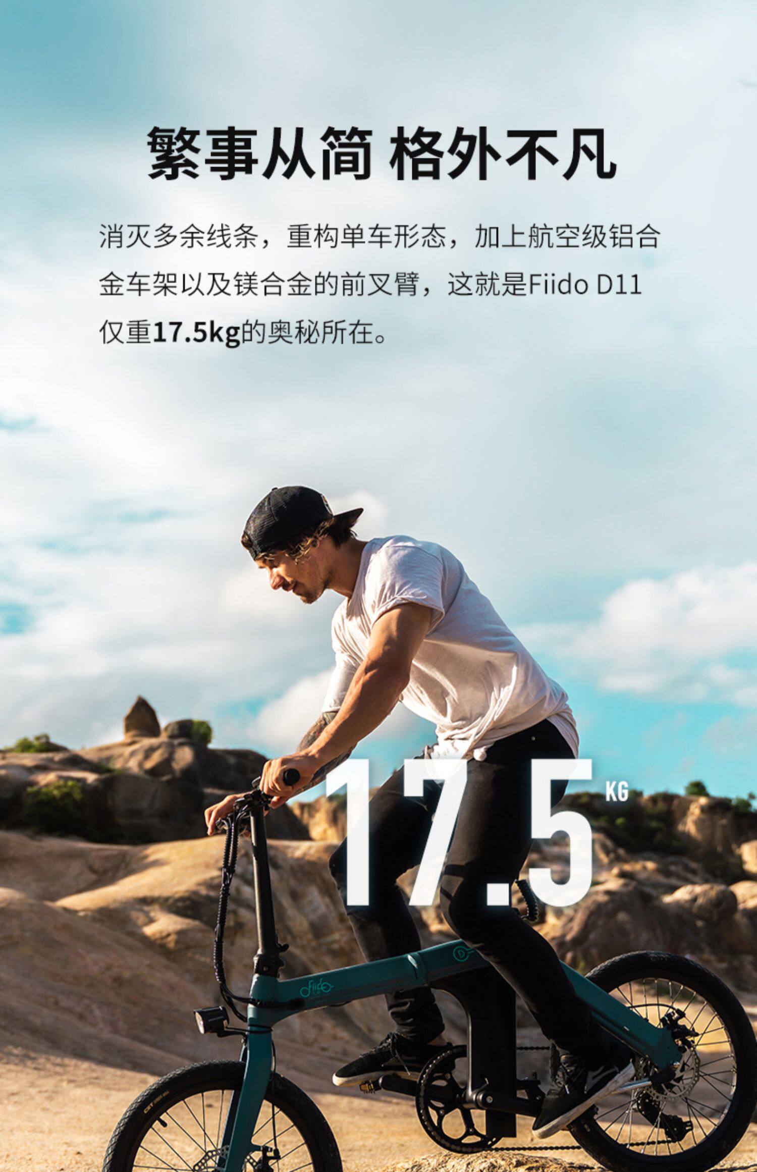 fiido飞道d11折叠电动自行车可拆卸锂电池电助力自行车小型电单车