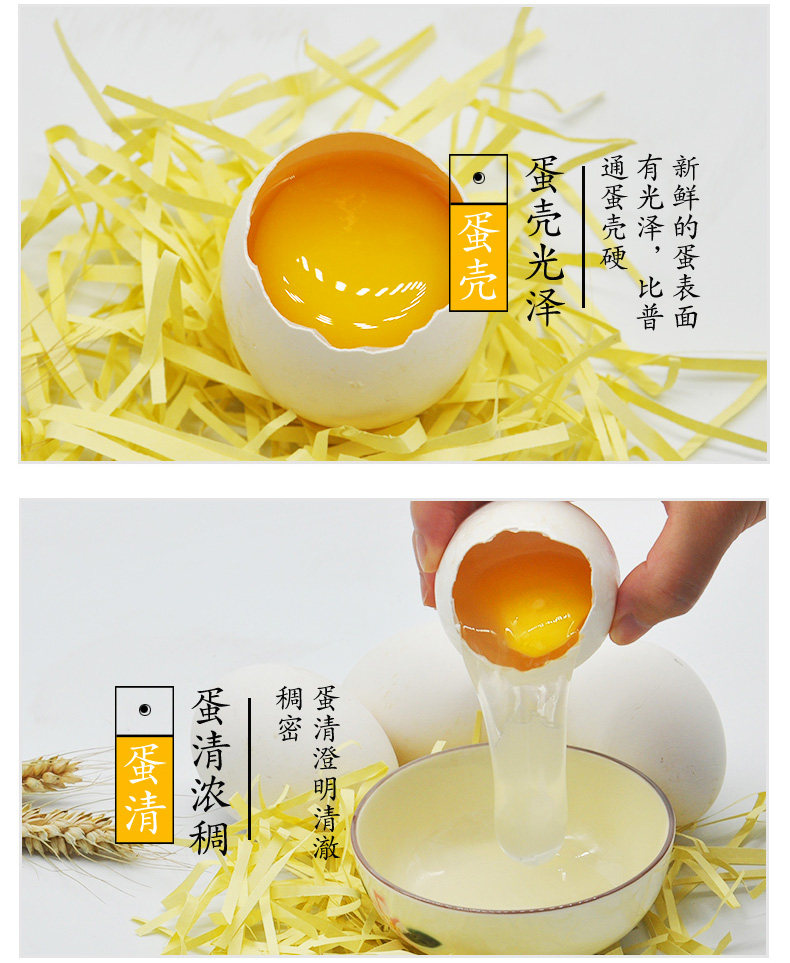 山东正宗土鹅蛋新鲜农家散养鹅蛋当现新鲜大鹅蛋去孕妇批发个12装