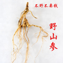 More than 25 years of wild ginseng gift box ginseng good northeast forest ginseng seed goods national inspection forest ginseng