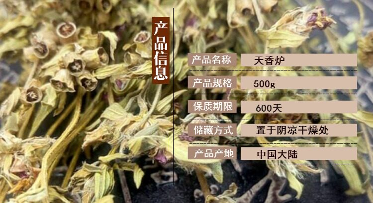 正品天香炉草 金锦香 小金钟 蜂窝草 朝天罐 500克1斤包邮中药材