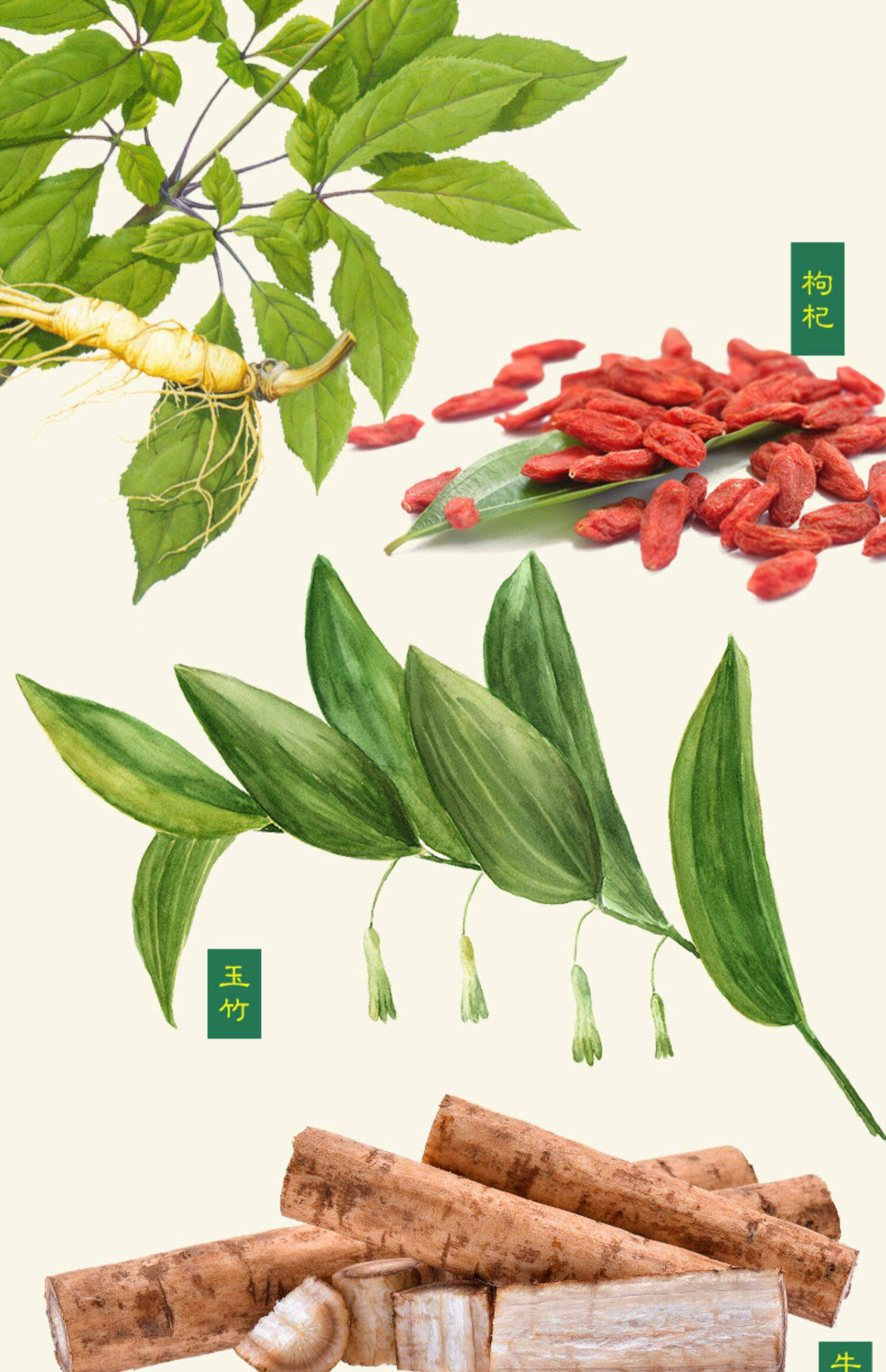 【玖和健康】降血糖辣木参玉饮75g