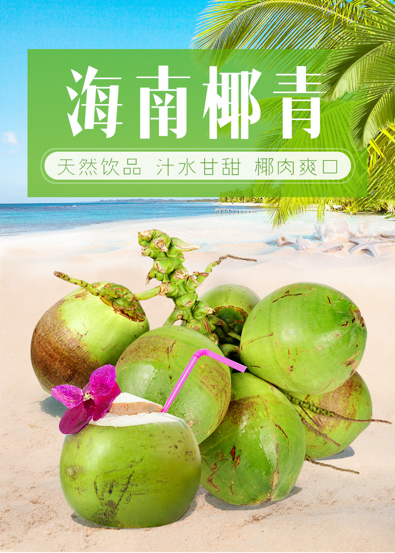 套海南新鲜椰子带皮椰青多汁水三亚特产旅游产品泰国鲜嫩包邮6个_不