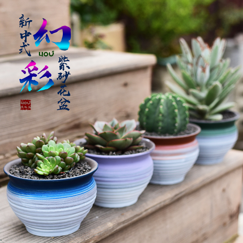 New Chinese style brilliantly coloured purple sand flowerpot more meat ceramic contracted household meat meat plant POTS, green plant, small potted creative